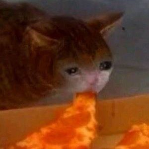 Meet your Posher, Goober